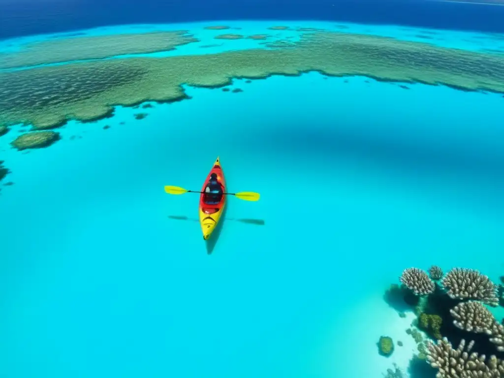 Aventura en kayak y corales: un paisaje submarino lleno de color con un kayak deslizándose sobre aguas cristalinas