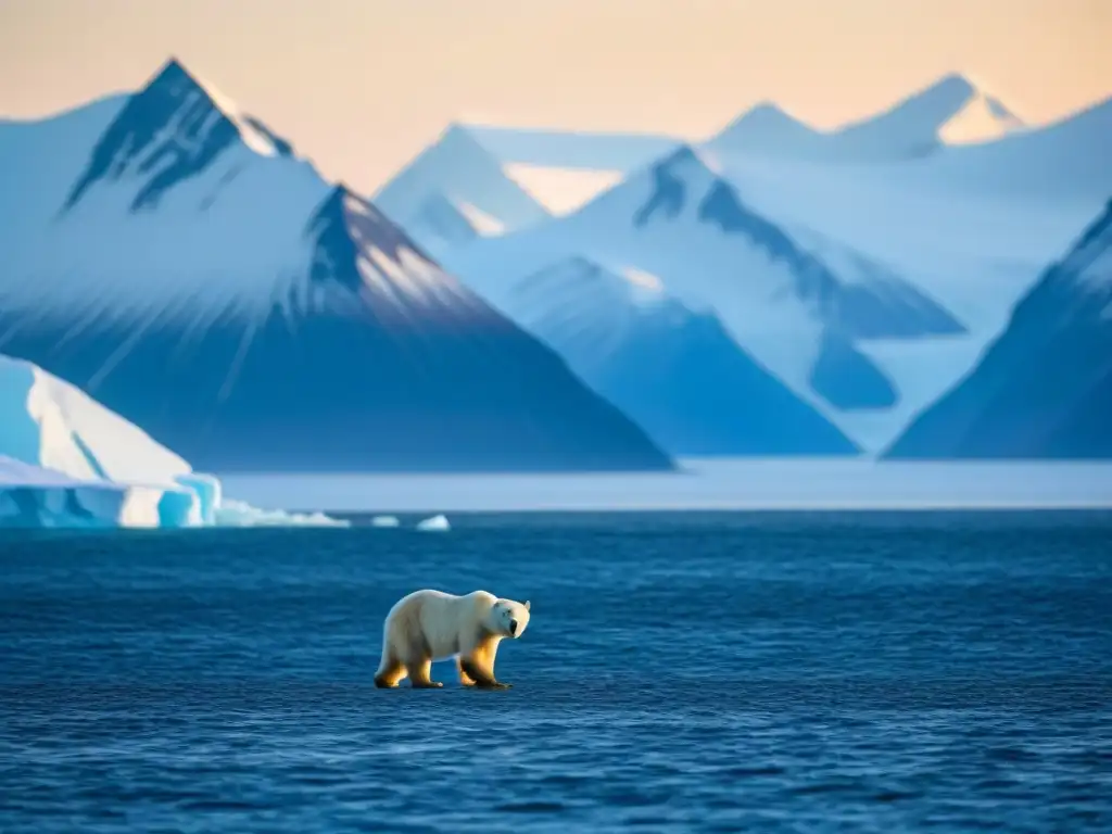 Explora la belleza serena del Ártico al atardecer con un oso polar solitario en la orilla helada