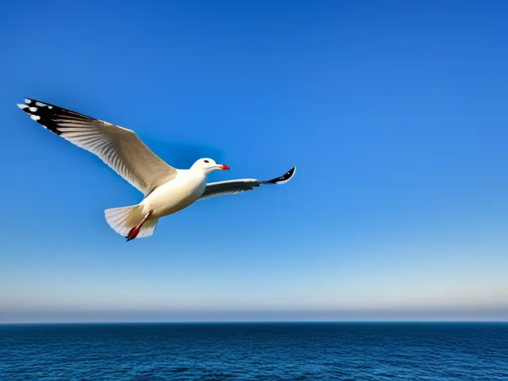 Un elegante crucero navega en aguas tranquilas bajo un cielo azul, con una gaviota volando