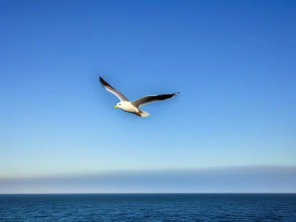 Un elegante crucero navegando en aguas tranquilas bajo un cielo azul, con una gaviota volando