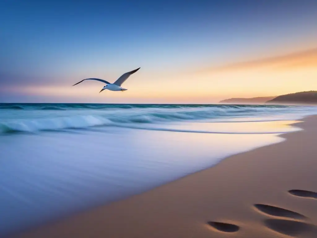 Playa prístina al amanecer con olas suaves, gaviotas y velero en el horizonte