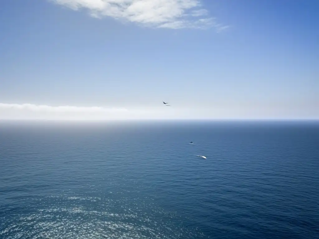 Vista serena desde un crucero, mar tranquilo y cielo azul