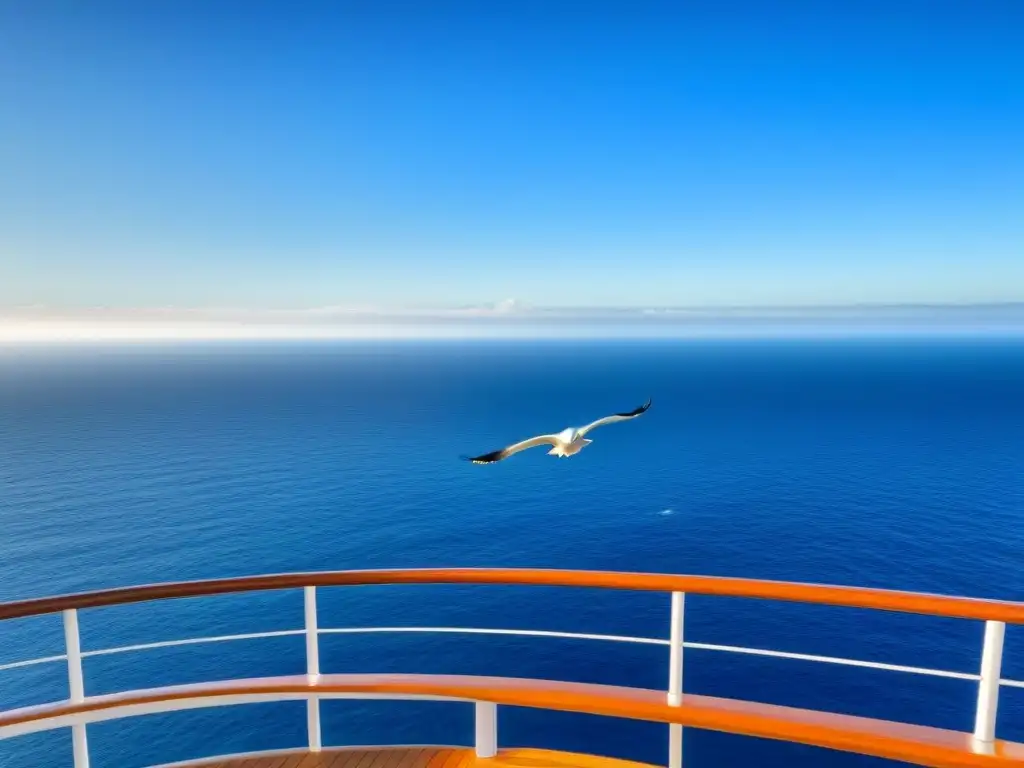 Vista serena del océano desde un crucero, con seagulls